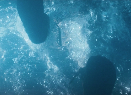 fraternité pentecôte,école de prophétie,sandrine treuillard,silvère guerry,charismes,charis